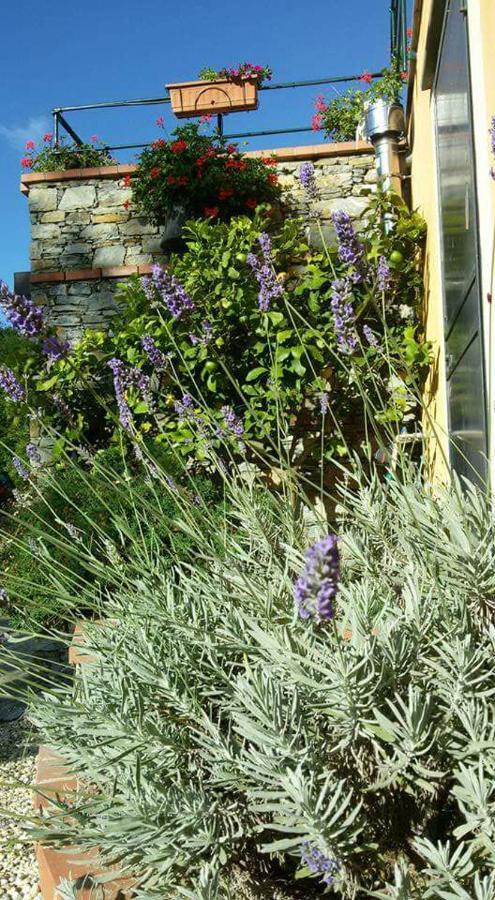 B&B Le Colline Di Bana Camogli Ngoại thất bức ảnh