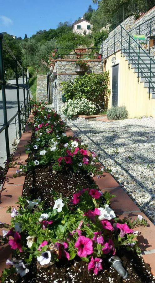 B&B Le Colline Di Bana Camogli Ngoại thất bức ảnh