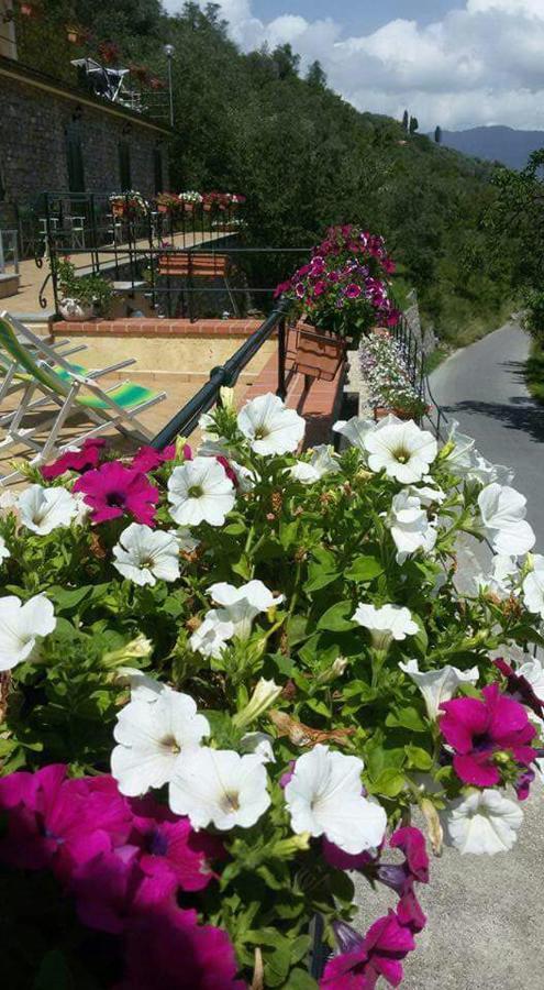 B&B Le Colline Di Bana Camogli Ngoại thất bức ảnh