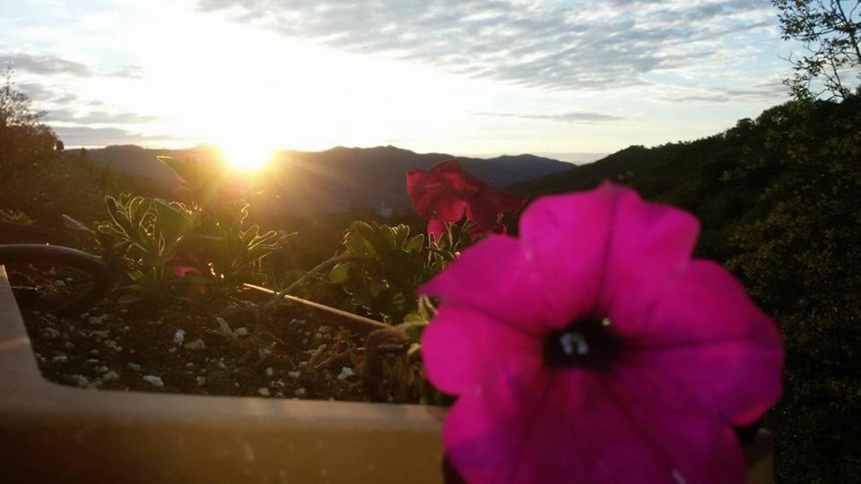 B&B Le Colline Di Bana Camogli Ngoại thất bức ảnh